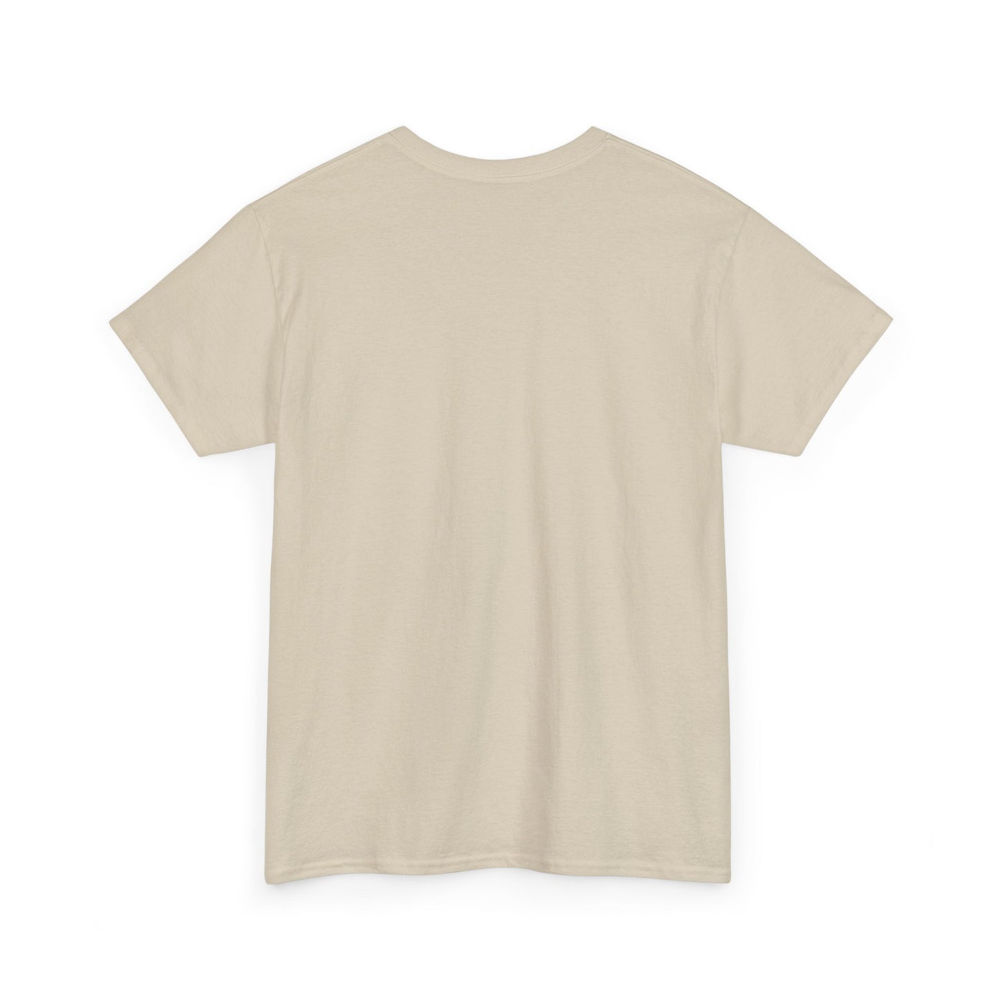 T-Shirt — Proverbs Scripture Christian Tee