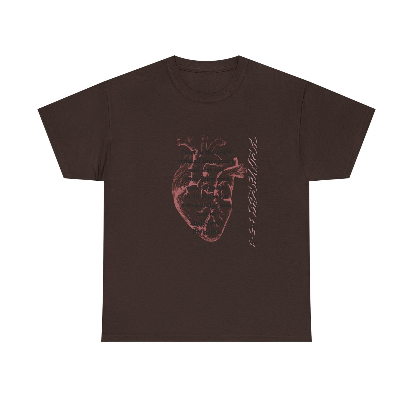 T-Shirt — Proverbs Scripture Christian Tee